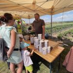 27.06.2021. Modliborzyce. Dzień otwarty na polu jagody kamczackiej / Emilia Sitarska / Radio Kielce