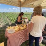 27.06.2021. Modliborzyce. Dzień otwarty na polu jagody kamczackiej / Emilia Sitarska / Radio Kielce