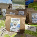 27.06.2021. Modliborzyce. Dzień otwarty na polu jagody kamczackiej / Emilia Sitarska / Radio Kielce