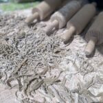 27.06.2021. Modliborzyce. Dzień otwarty na polu jagody kamczackiej / Emilia Sitarska / Radio Kielce