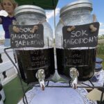 27.06.2021. Modliborzyce. Dzień otwarty na polu jagody kamczackiej / Emilia Sitarska / Radio Kielce