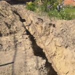 10.06.2021. Okół. Miejsce odnalezienia ludzkich szkieletów / Emilia Sitarska / Radio Kielce