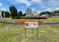 Władze Kielc chcą wspólnie z przedsiębiorcami zazieleniać miasto