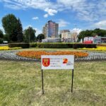 Władze Kielc chcą wspólnie z przedsiębiorcami zazieleniać miasto