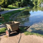 09.06.2021. Kielce. Oczyszczanie stawu w Parku Miejskim im. Stanisława Staszica w Kielcach / zielen.kielce.pl