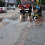 29.06.2021. Skalbmierz. Wielkie sprzątanie po gradobiciu i nawałnicy / UMiG Skalbmierz