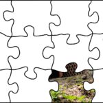 Wiktor Taszłow / Radio Kielce