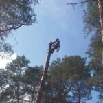 08.07.2021. Arborysta Maciej Kołodziejczyk w pracy / archiwum Macieja Kołodziejczyka