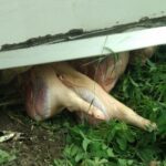 26.07.2021. Słupia. Wypadek / KPP Jędrzejów