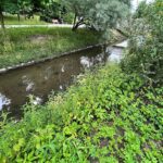 Każdy może pomóc i posprzątać okolicę Silnicy