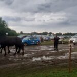 11.07.2021. Opatowiec. Teren gdzie odbył się championat koni po burzy / Patrycja Bartnik