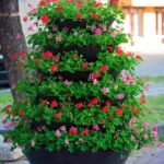 17.07.2021. Końskie. Nasadzenia kwiatów / Aleksandra Wilk