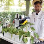 23.07.2021. Letnia kuchnia Radia Kielce. Piątkowa rybka. Na zdjęciu Konrad Stokowiec, szef kuchni restauracji Willa Hueta / Anna Kwapisz / Radio Kielce