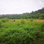 Poszukiwania 52-letniego Jacka Jaworka podejrzewanego o zabójstwo rodziny z Borowców / slaska.policja.gov.pl