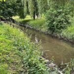 01.07.2021. Kielce. Zarośnięta dolina Silnicy / Wiktor Taszłow / Radio Kielce