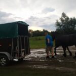 11.07.2021. Opatowiec. Teren gdzie odbył się championat koni po burzy / Patrycja Bartnik