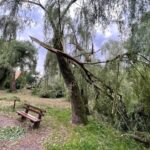 09.07.2021. Kielce Efekty wietrznej nawałnicy / Wiktor Taszłow / Radio Kielce