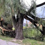 09.07.2021. Kielce Efekty wietrznej nawałnicy / Wiktor Taszłow / Radio Kielce