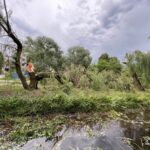 09.07.2021. Kielce Efekty wietrznej nawałnicy / Wiktor Taszłow / Radio Kielce