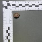 13.07.2021. Końskie. Skarby przy kościele. Broszka XIX wiek / Radosław Nowek / Stowarzyszenie Historyczne Pasja