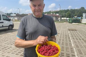 16.07.2021. Sandomierz. Pierwsze tegoroczne maliny na giełdzie rolnej w Sandomierzu. Na zdjęciu: Stanisław Szmalec - działkowicz z gminy Zawichost / Grażyna Szlęzak-Wójcik / Radio Kielce