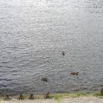 22.07.2021. Cedzyna. Zalew / Anna Kwapisz / Radio Kielce