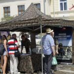 13.07.2021. Kielce. Targi Pracy na Rynku / Anna Kwapisz / Radio Kielce