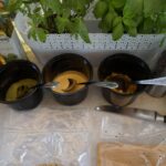 14.07.2021. Letnia kuchnia Radia Kielce. Kosmiczna środa / Anna Kwapisz / Radio Kielce