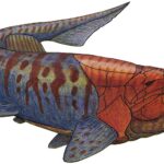 Gorgonichthys / Państwowy Instytut Geologiczny - Państwowy Instytut Badawczy