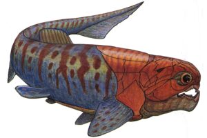 Gorgonichthys / Państwowy Instytut Geologiczny - Państwowy Instytut Badawczy