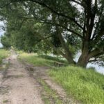 01.07.2021. Starachowice, Tereny przy zalewie Pasternik / Anna Głąb / Radio Kielce