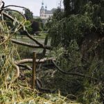12.07.2021. Kielce. Wierzba w Parku Miejskim / Jarosław Kubalski / Radio Kielce