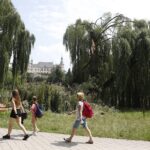 12.07.2021. Kielce. Wierzba w Parku Miejskim / Jarosław Kubalski / Radio Kielce