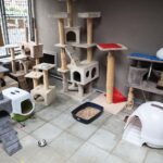 26.07.2021. Schronisko dla Bezdomnych Zwierząt w Dyminach / Wiktor Taszłow / Radio Kielce