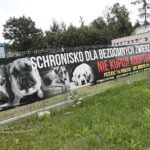 26.07.2021. Schronisko dla Bezdomnych Zwierząt w Dyminach / Wiktor Taszłow / Radio Kielce