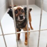 Fot. Wiktor Taszłow - Radio Kielce