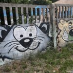 26.07.2021. Schronisko dla Bezdomnych Zwierząt w Dyminach / Wiktor Taszłow / Radio Kielce