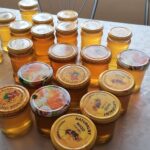 02.07.2021. Bełzów. Projekt "Błyszczyki Bełzowskie" / Marta Gajda / Radio Kielce