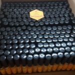 02.07.2021. Bełzów. Projekt "Błyszczyki Bełzowskie" / Marta Gajda / Radio Kielce