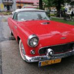 03.07.2021. Wiślica. Festyn charytatywny / Marta Gajda / Radio Kielce