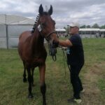 10.07.2021. Opatowiec. XXI Świętokrzyski Młodzieżowy Championat Koni Małopolskich / Marta Gajda / Radio Kielce