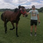 10.07.2021. Opatowiec. XXI Świętokrzyski Młodzieżowy Championat Koni Małopolskich / Marta Gajda / Radio Kielce