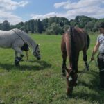 10.07.2021. Opatowiec. XXI Świętokrzyski Młodzieżowy Championat Koni Małopolskich / Marta Gajda / Radio Kielce