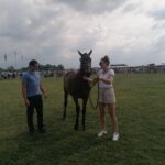 11.07.2021. Opatowiec. Świętokrzyski Młodzieżowy Championat Koni Małopolskich. Samosierra - najpiękniejszy koń czempionatu z hodowcami / Marta Gajda / Radio Kielce