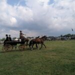 11.07.2021. Opatowiec. Świętokrzyski Młodzieżowy Championat Koni Małopolskich. Powożenie bryczką / Marta Gajda / Radio Kielce