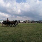 11.07.2021. Opatowiec. Świętokrzyski Młodzieżowy Championat Koni Małopolskich. Powożenie bryczką / Marta Gajda / Radio Kielce