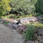 22.07.2021. Złota. Nowi podopieczni Ptasiego Azylu / Marta Gajda / Radio Kielce