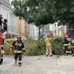 09.07.2021. Kielce. Ulica Seminaryjska. Połamane drzewo wskutek silnego wiatru / Wiktor Taszłow / Radio Kielce