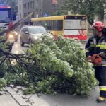 09.07.2021. Kielce. Ulica Seminaryjska. Połamane drzewo wskutek silnego wiatru / Wiktor Taszłow / Radio Kielce