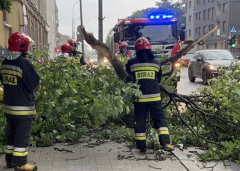 Fot. Wiktor Taszłow - Radio Kielce